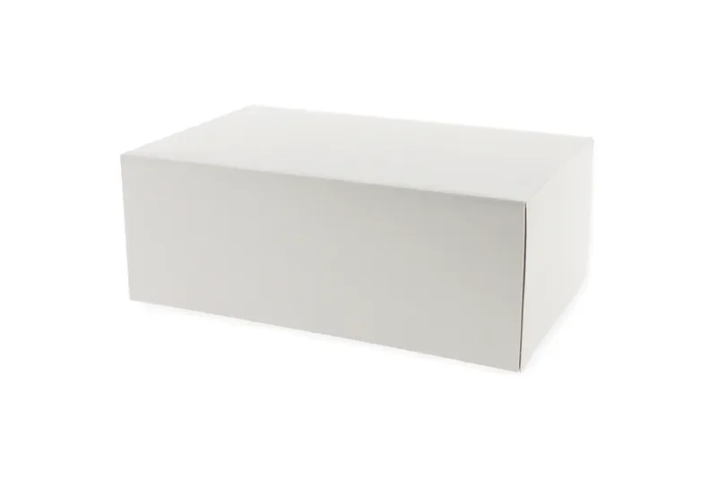 Gebaksdozen, karton 24 x 16 x 8 cm wit