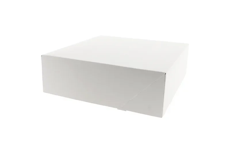Gebaksdozen, karton 25 x 25 x 8 cm wit
