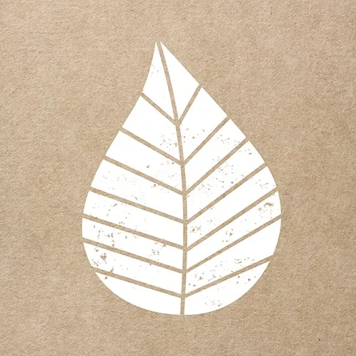 Servetten 3-laags 1/4 vouw 33 cm x 33 cm natuur “Graphic Leaves”