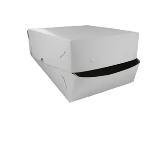 Zwanenhalsdozen, karton 30 x 30 x 8 cm wit