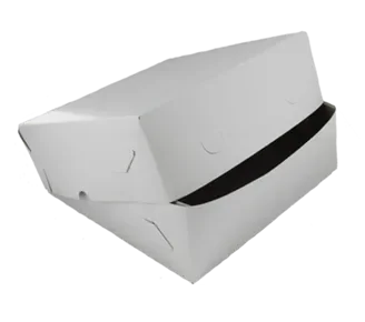 Zwanenhalsdozen, karton 36 x 36 x 10 cm wit